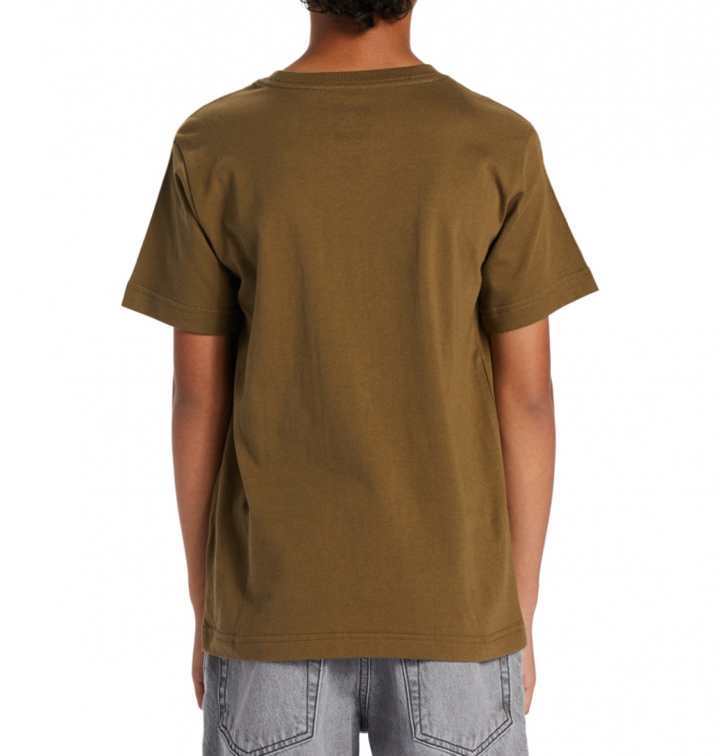 DC Shoes DC Star Pilot - Krótkie Sleeve T-Shirt 8-16 Capers | 52637UOZH