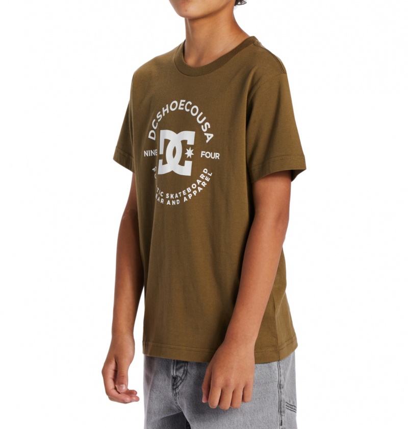 DC Shoes DC Star Pilot - Krótkie Sleeve T-Shirt 8-16 Capers | 52637UOZH