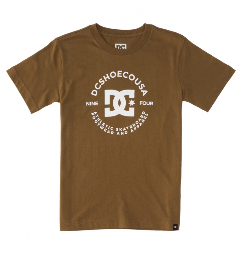 DC Shoes DC Star Pilot - Krótkie Sleeve T-Shirt 8-16 Capers | 52637UOZH