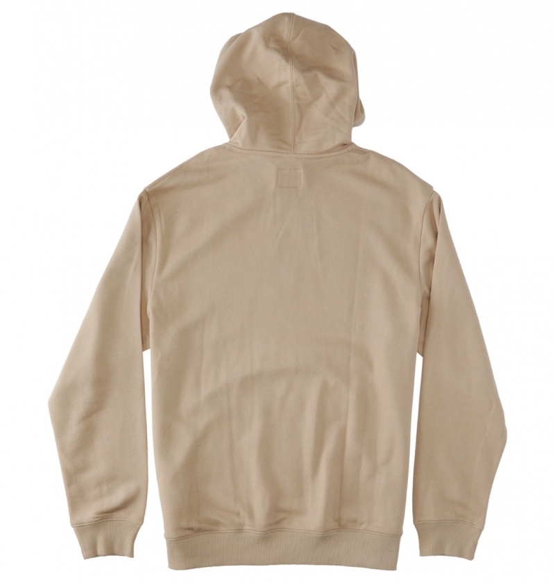 DC Shoes DC Star - Hoodie Plaza Taupe | 60712UZLT