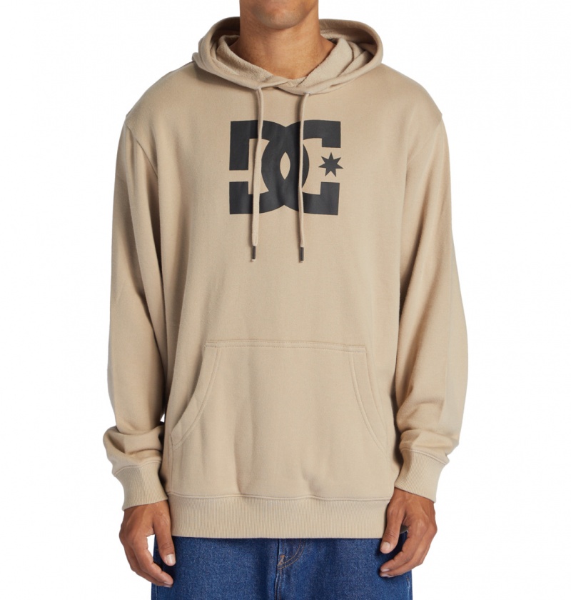 DC Shoes DC Star - Hoodie Plaza Taupe | 60712UZLT