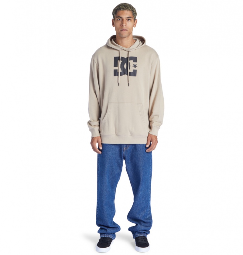 DC Shoes DC Star - Hoodie Plaza Taupe | 60712UZLT