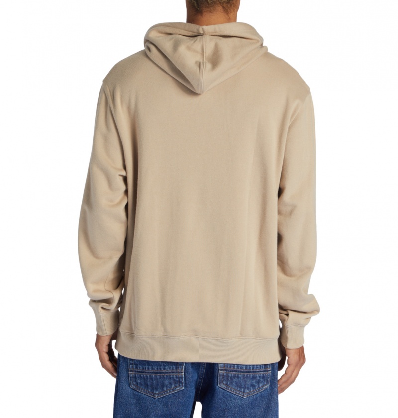 DC Shoes DC Star - Hoodie Plaza Taupe | 60712UZLT