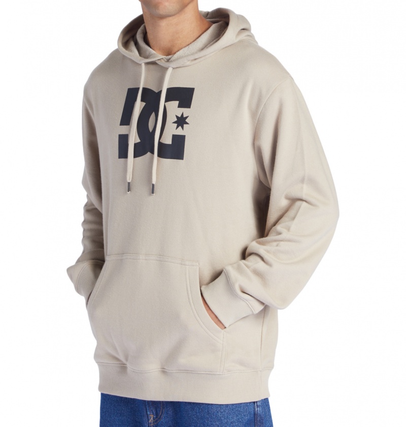 DC Shoes DC Star - Hoodie Plaza Taupe | 60712UZLT