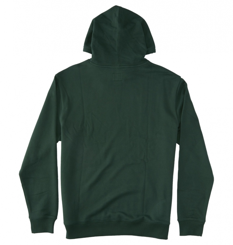 DC Shoes DC Star - Hoodie Sycamore | 45739OEGC