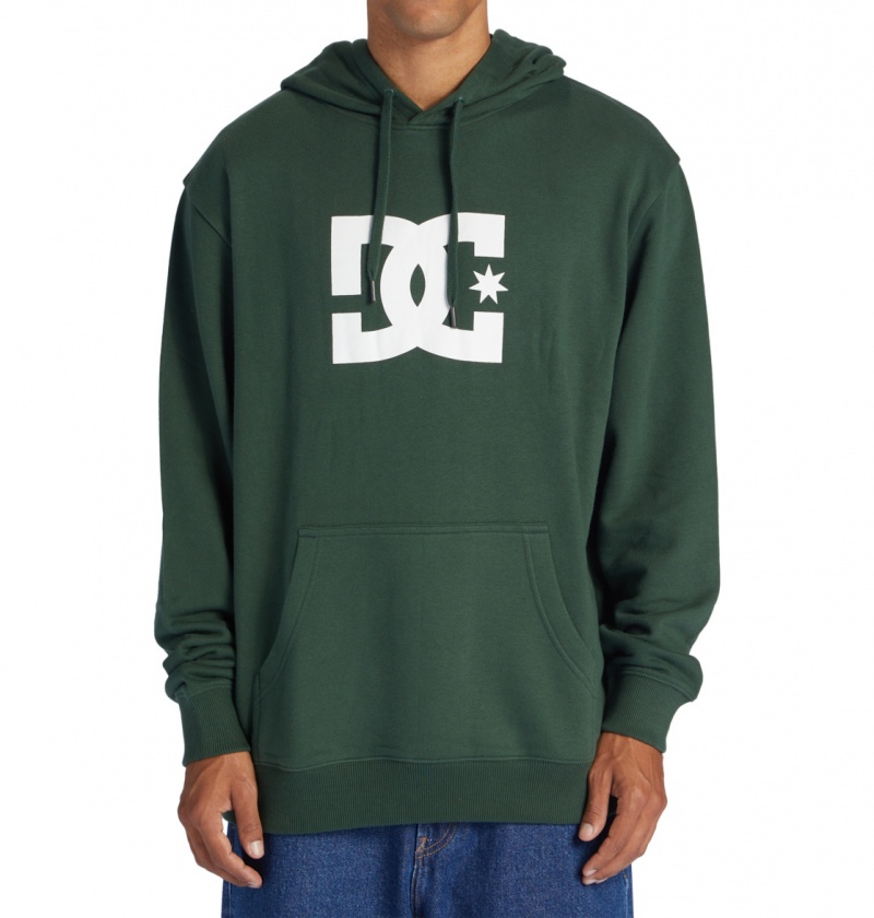 DC Shoes DC Star - Hoodie Sycamore | 45739OEGC