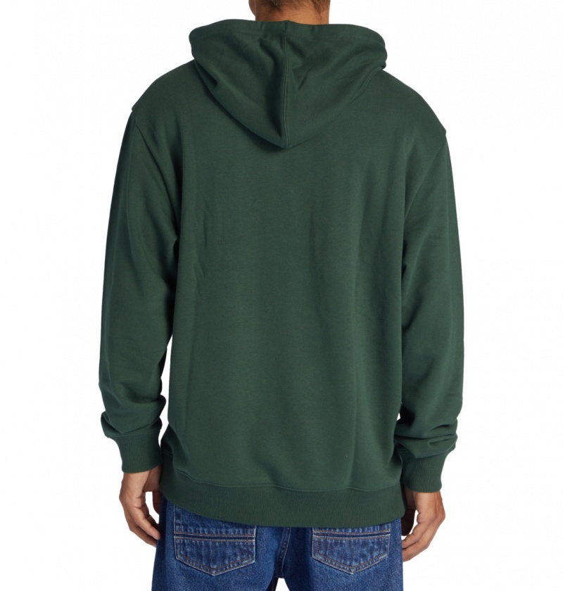 DC Shoes DC Star - Hoodie Sycamore | 45739OEGC