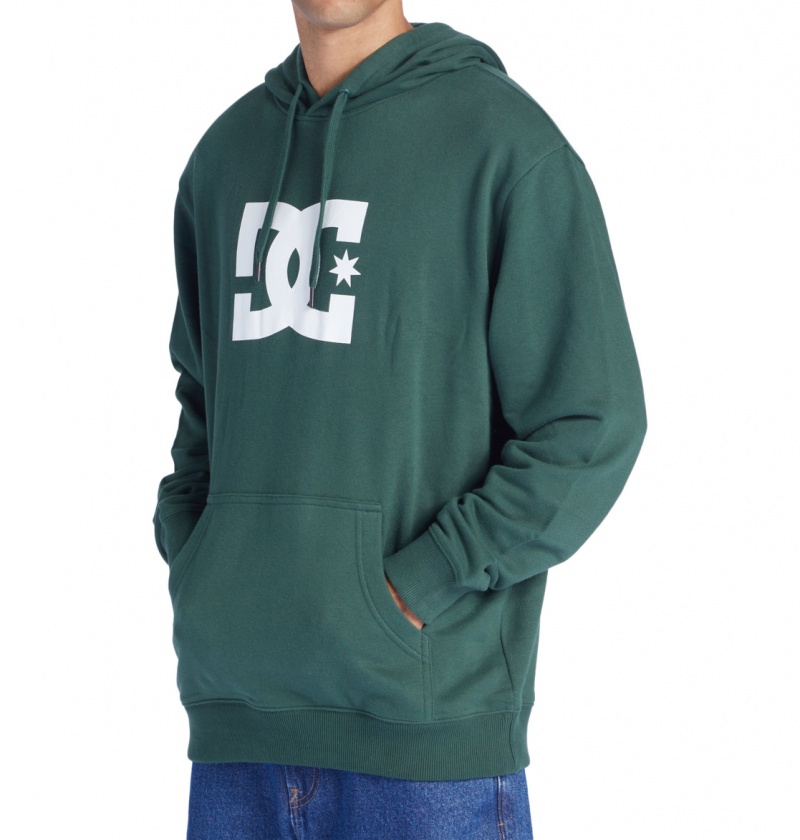 DC Shoes DC Star - Hoodie Sycamore | 45739OEGC