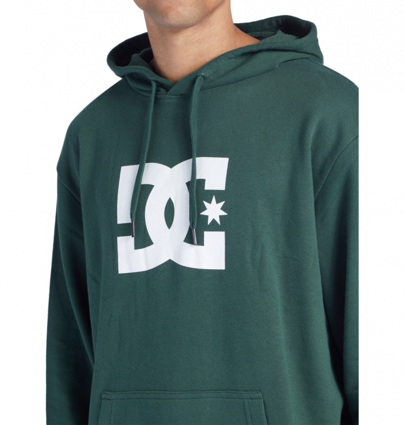 DC Shoes DC Star - Hoodie Sycamore | 45739OEGC