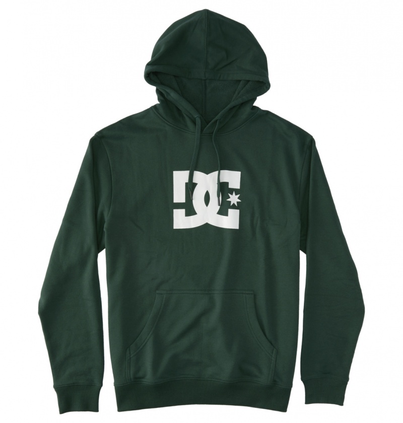 DC Shoes DC Star - Hoodie Sycamore | 45739OEGC