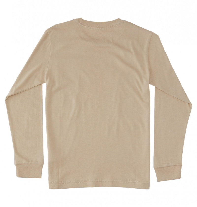 DC Shoes DC Star - Long Sleeve T-Shirt Plaza Taupe | 84063OWEQ