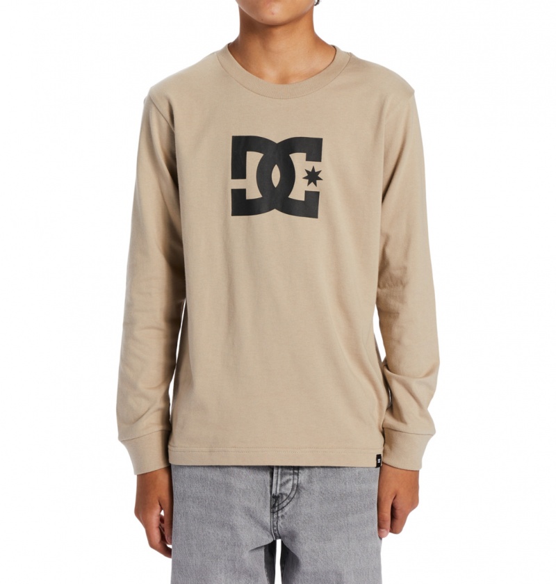 DC Shoes DC Star - Long Sleeve T-Shirt Plaza Taupe | 84063OWEQ