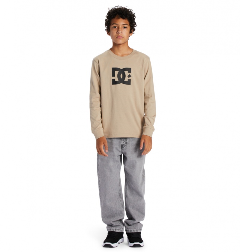 DC Shoes DC Star - Long Sleeve T-Shirt Plaza Taupe | 84063OWEQ