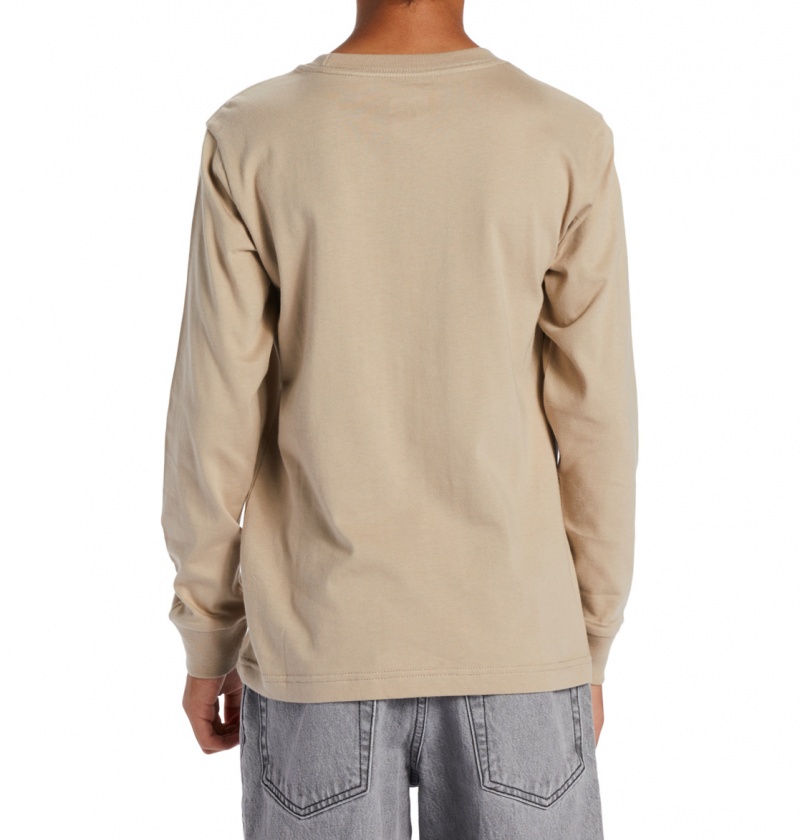 DC Shoes DC Star - Long Sleeve T-Shirt Plaza Taupe | 84063OWEQ