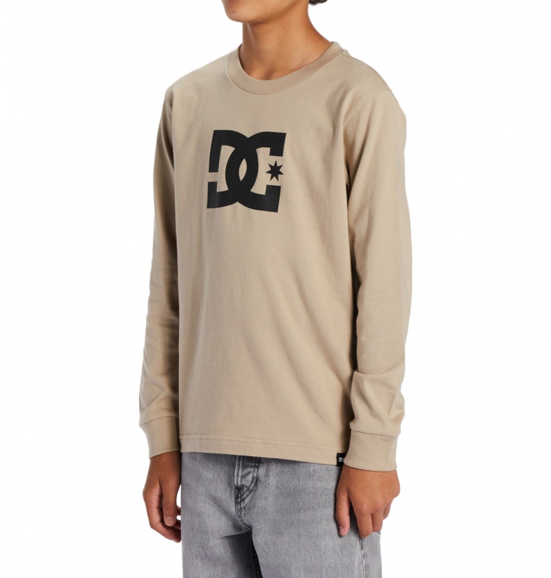 DC Shoes DC Star - Long Sleeve T-Shirt Plaza Taupe | 84063OWEQ