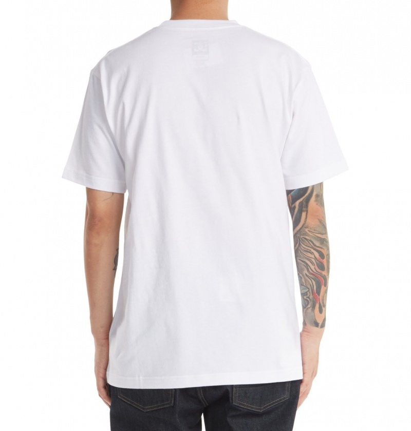 DC Shoes DC Star - T-Shirt Białe | 36975AUKZ