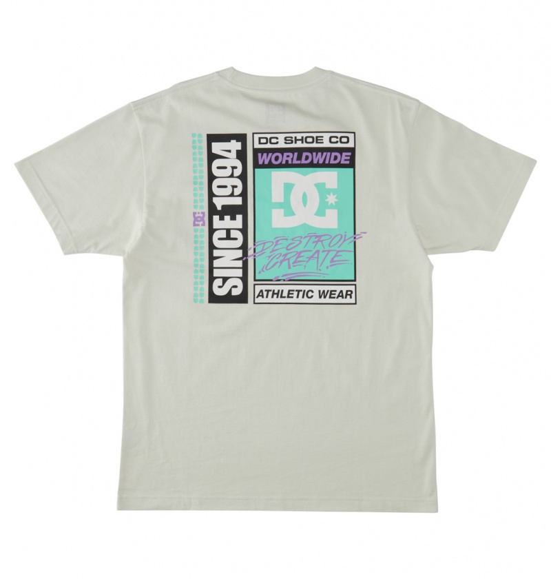 DC Shoes Flyer - T-Shirt Białe | 54672NYZI