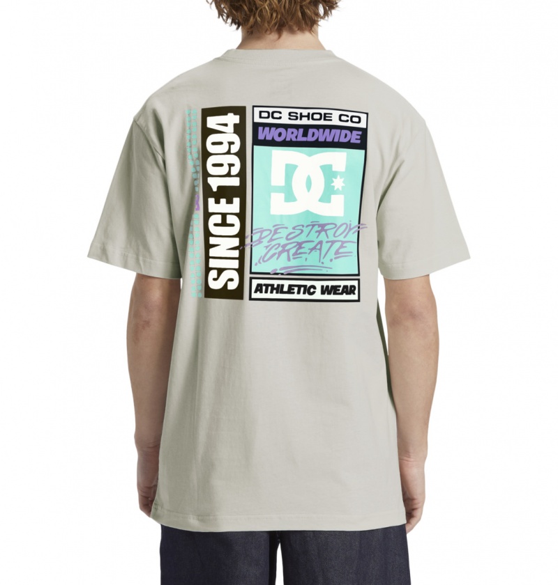 DC Shoes Flyer - T-Shirt Białe | 54672NYZI