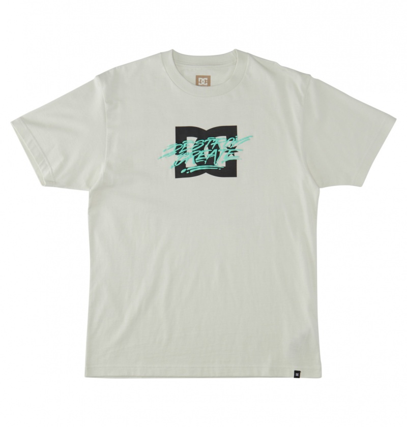 DC Shoes Flyer - T-Shirt Białe | 54672NYZI