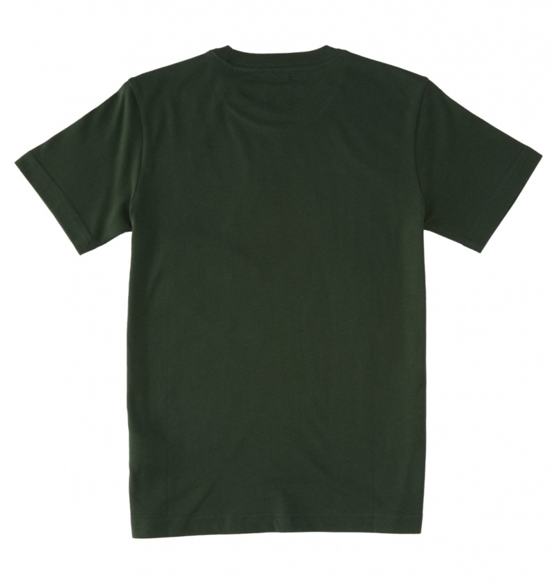 DC Shoes Its All Good - T-Shirt 10-16 Sycamore | 12956LWHZ