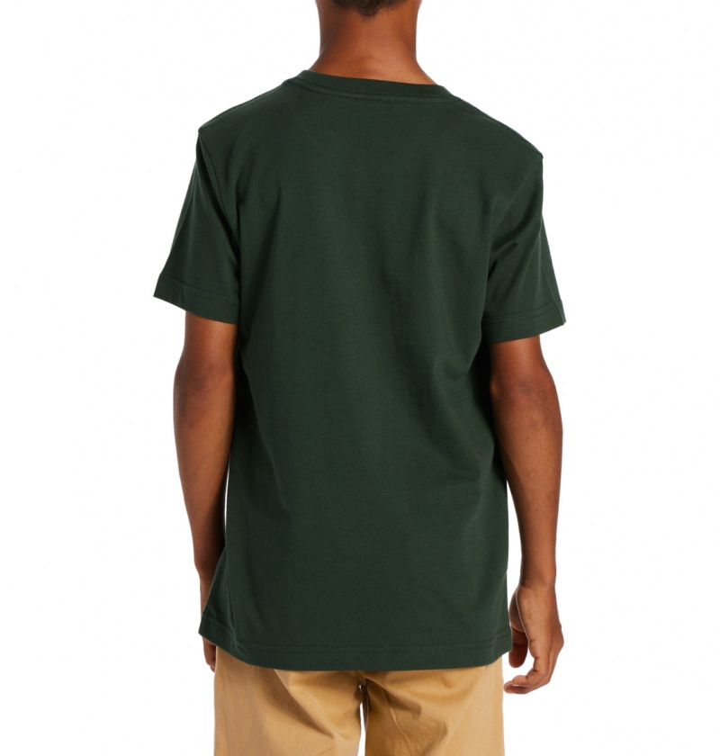 DC Shoes Its All Good - T-Shirt 10-16 Sycamore | 12956LWHZ