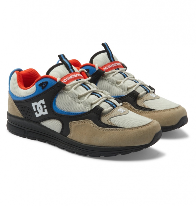 DC Shoes Kalis Lite - Skórzane Shoes Niebieskie Białe | 91342DGRL