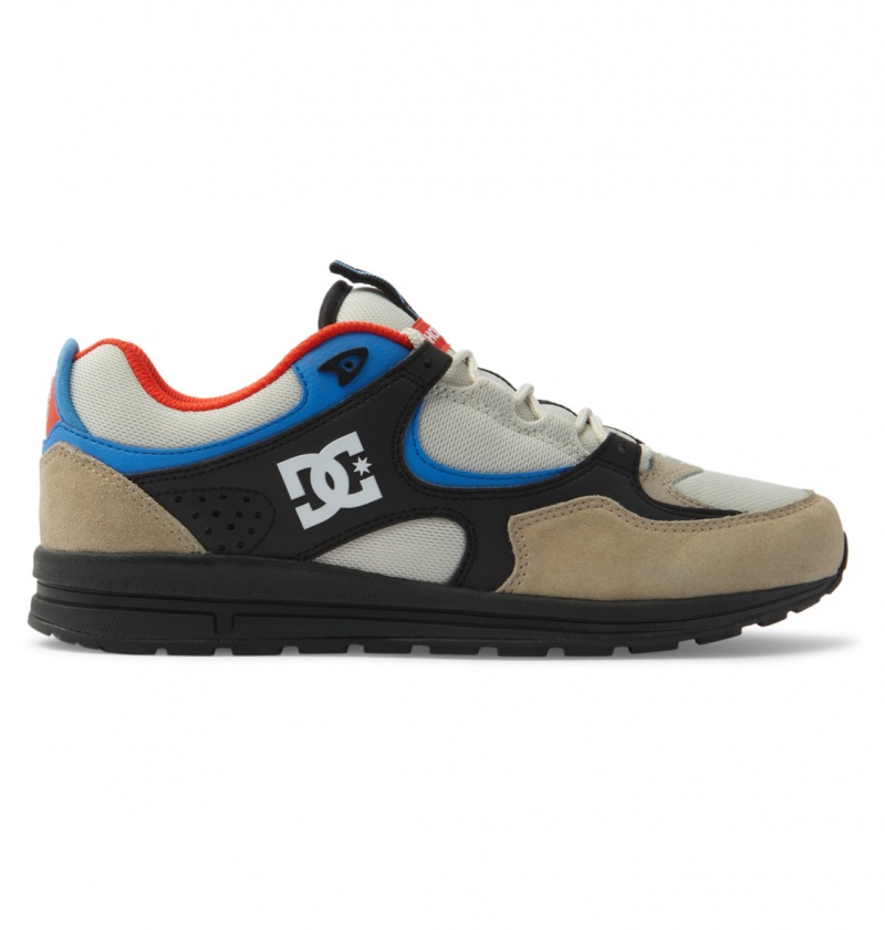 DC Shoes Kalis Lite - Skórzane Shoes Niebieskie Białe | 91342DGRL