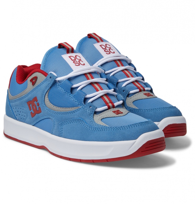 DC Shoes Kalynx Zero S - Skórzane Skate Shoes Niebieskie | 92638ABQK