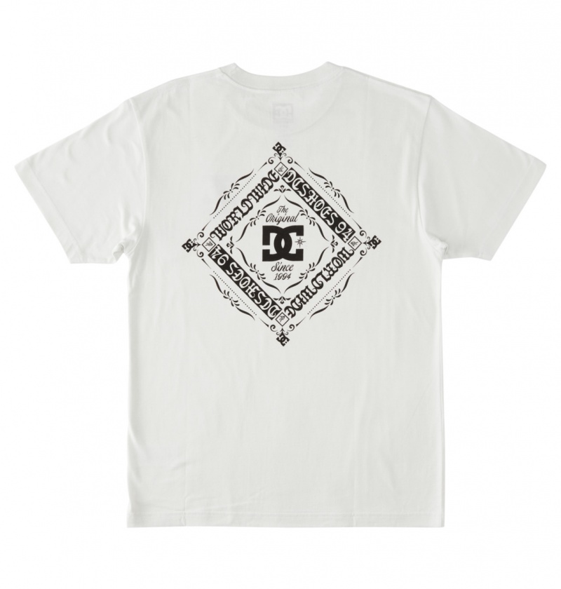 DC Shoes Klasyczne - T-Shirt Białe | 40312ETWO