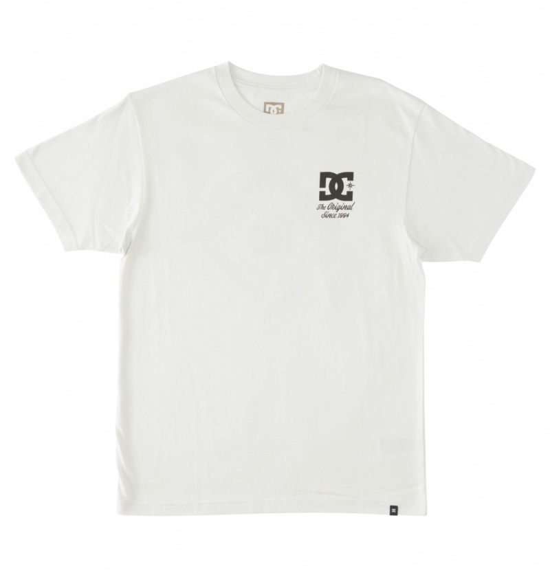 DC Shoes Klasyczne - T-Shirt Białe | 40312ETWO