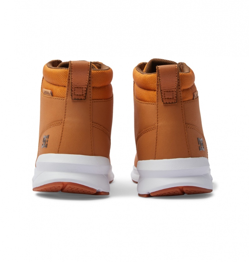 DC Shoes Mason 2 - Wody Resistant Skórzane Shoes Kawa | 29610WYGN