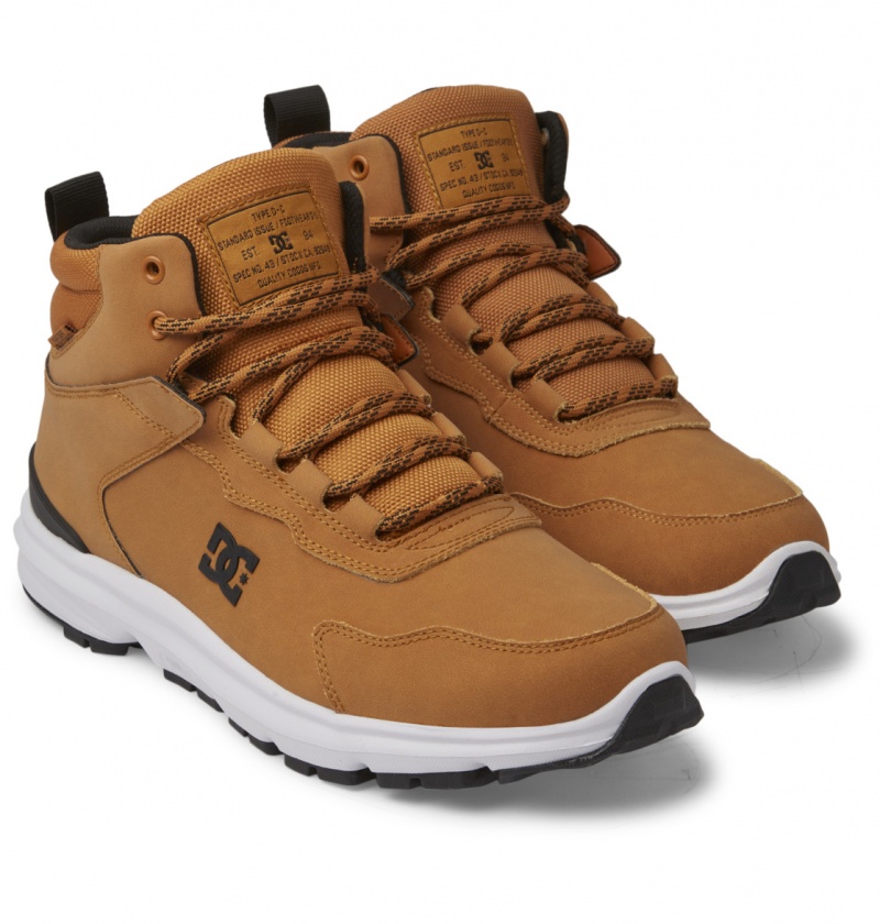 DC Shoes Mutiny - Skórzane Boots Czarne | 24169NYCH