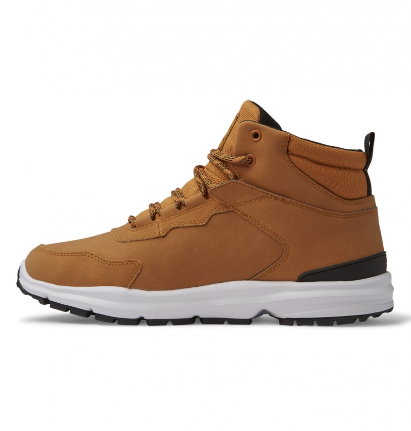 DC Shoes Mutiny - Skórzane Boots Czarne | 24169NYCH