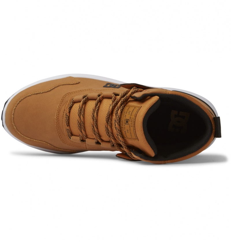 DC Shoes Mutiny - Skórzane Boots Czarne | 24169NYCH