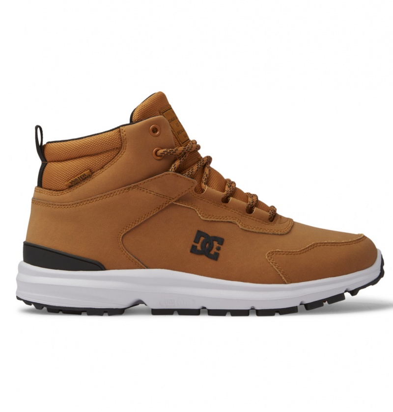 DC Shoes Mutiny - Skórzane Boots Czarne | 24169NYCH