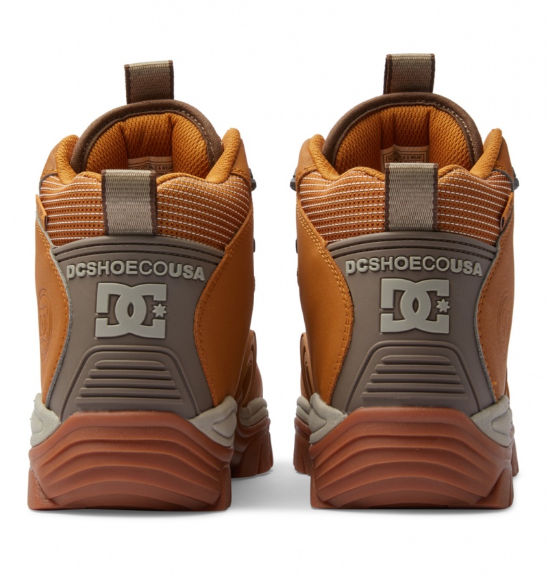 DC Shoes Navigator - Skórzane High Top Boots Czekolada | 09132MPNR