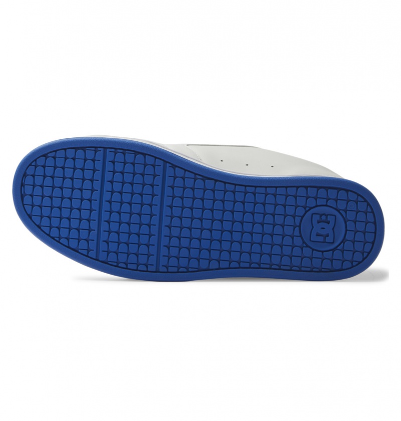 DC Shoes Net - Skórzane Shoes Białe Szare Niebieskie | 84129IFRY