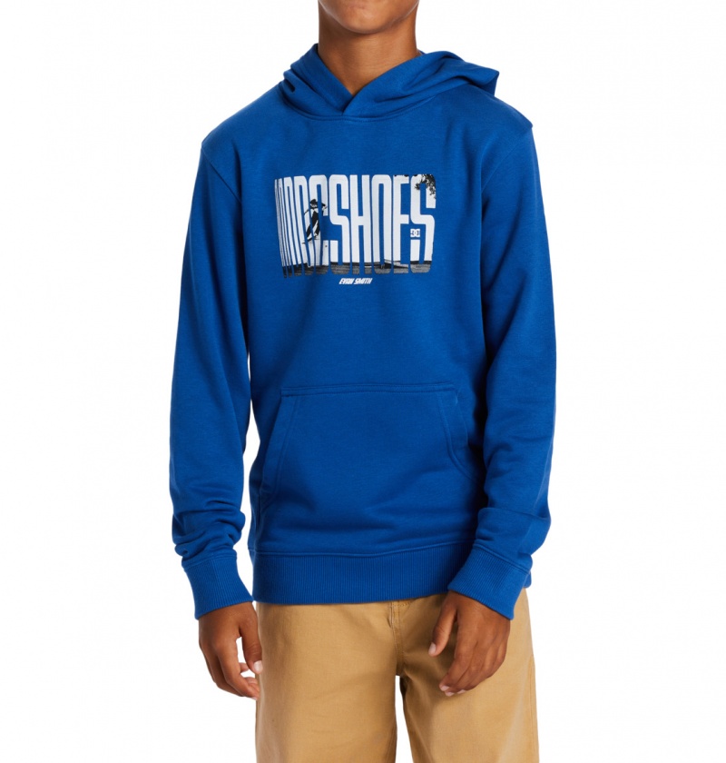 DC Shoes On The Grind - Hoodie 10-16 Niebieskie | 72053STYE