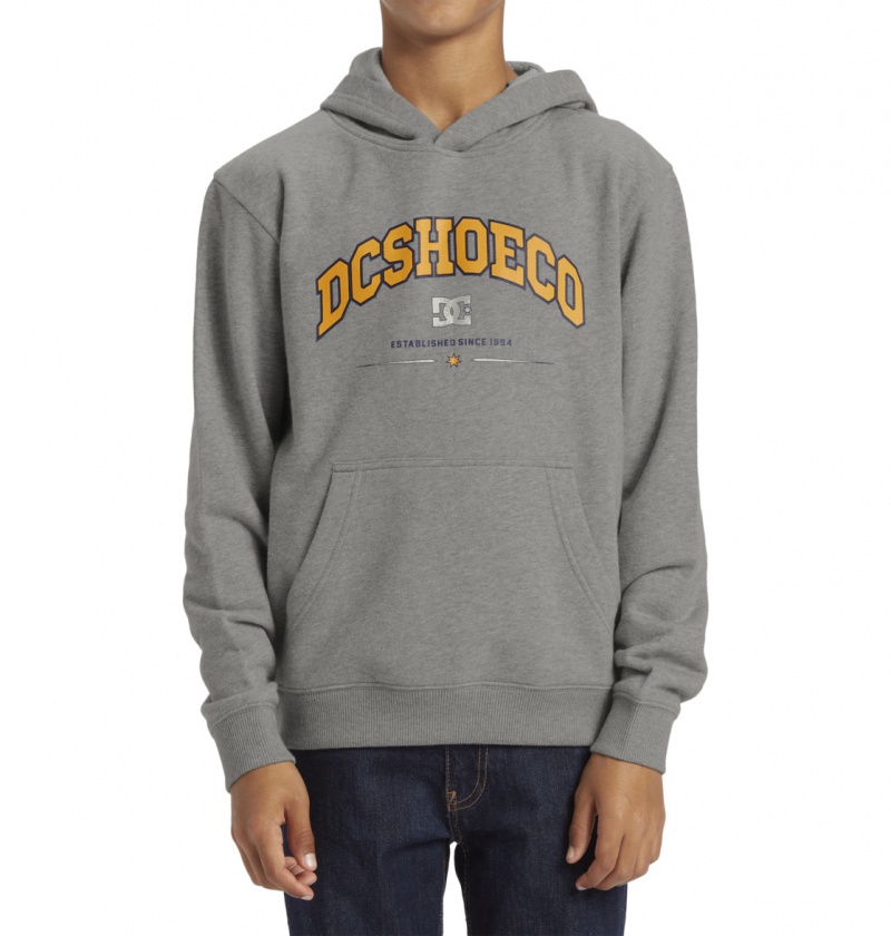 DC Shoes Orientation - Pullover Hoodie 10-16 Szare | 67904LWAH