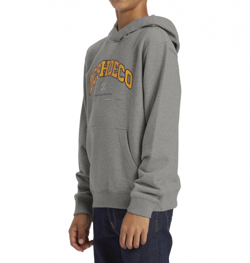 DC Shoes Orientation - Pullover Hoodie 10-16 Szare | 67904LWAH