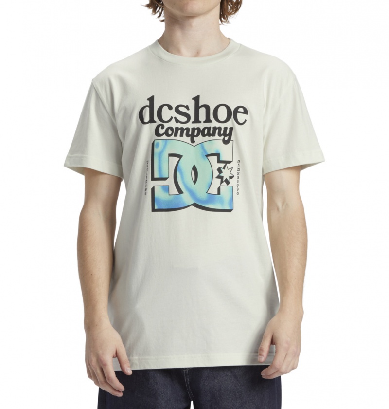 DC Shoes Overspray - T-Shirt Białe | 97502RAMX