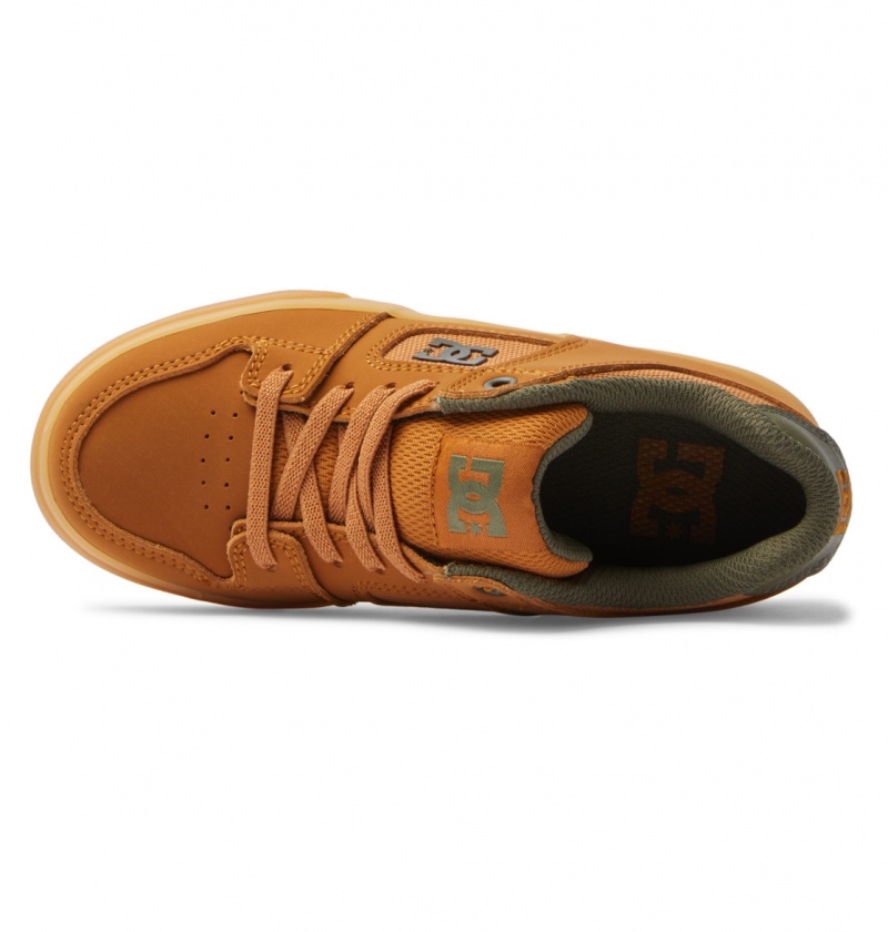 DC Shoes Pure Elastic - Shoes 8-16 Ciemny Czekolada | 72860VKWY