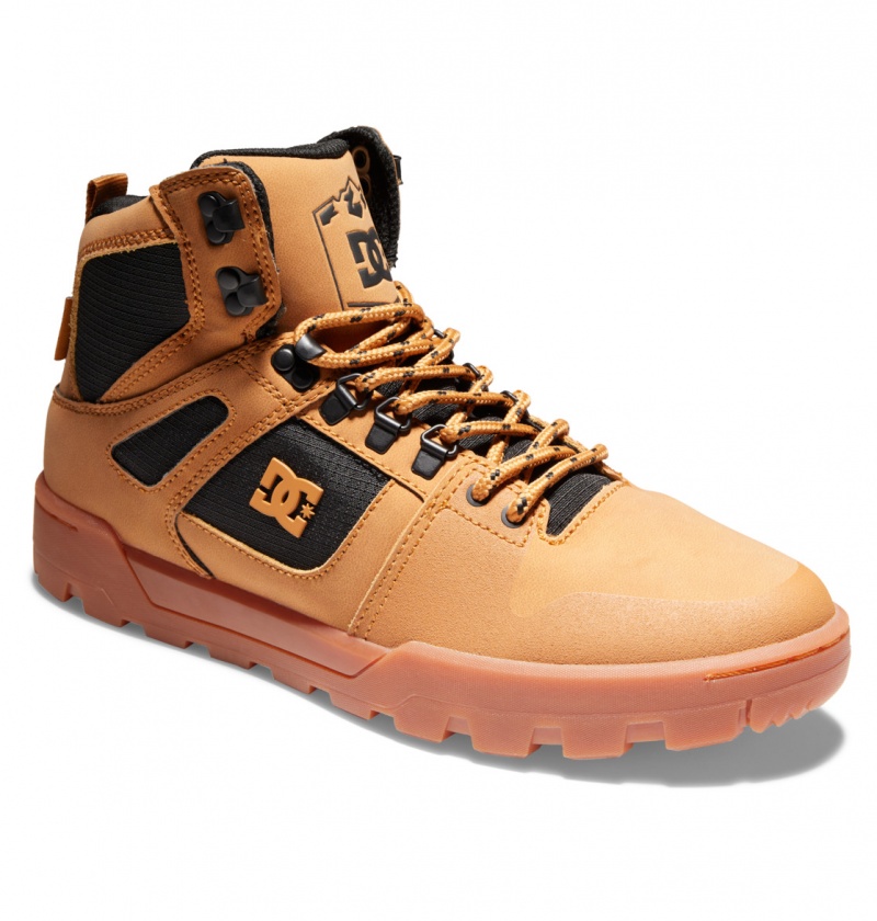 DC Shoes Pure Hi - Wody Resistant High Top Skórzane Boots Czarne | 57123CGOU