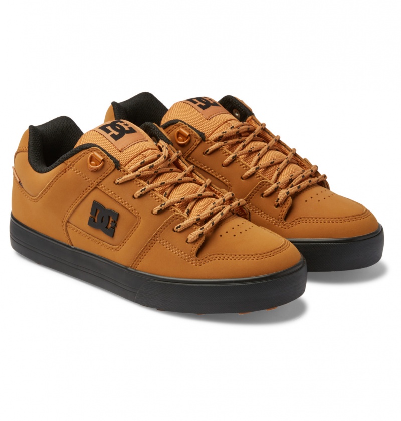 DC Shoes Pure WNT - Winterised Shoes Wheat | 54307NRAU