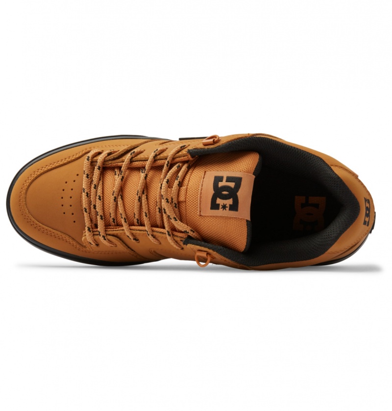 DC Shoes Pure WNT - Winterised Shoes Wheat | 54307NRAU