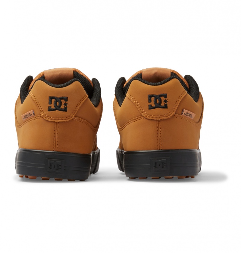 DC Shoes Pure WNT - Winterised Shoes Wheat | 54307NRAU