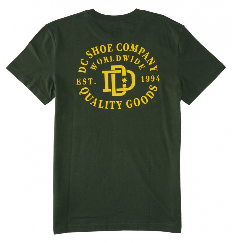 DC Shoes Rugby Crest - T-Shirt Sycamore | 20713YQJL