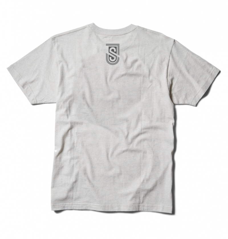 DC Shoes Shanahan - T-Shirt Snow Heather | 51320YTPZ