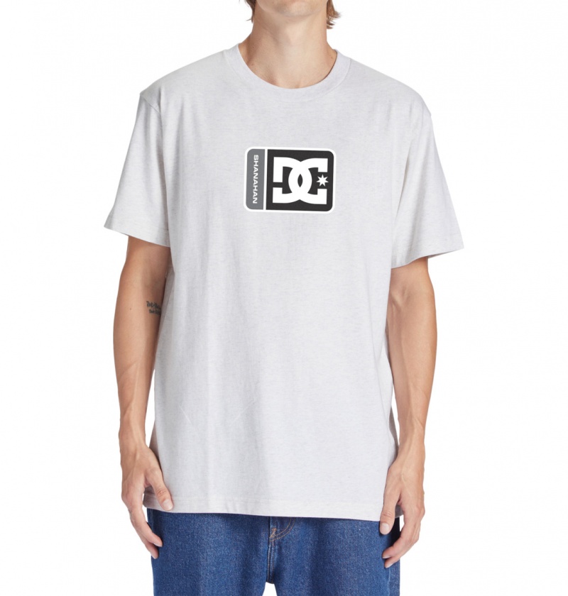 DC Shoes Shanahan - T-Shirt Snow Heather | 51320YTPZ