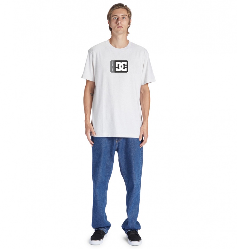 DC Shoes Shanahan - T-Shirt Snow Heather | 51320YTPZ